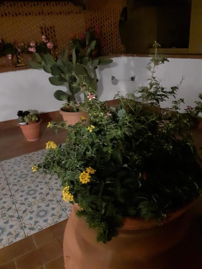 Dolce Far Niente Villa Noto Dış mekan fotoğraf